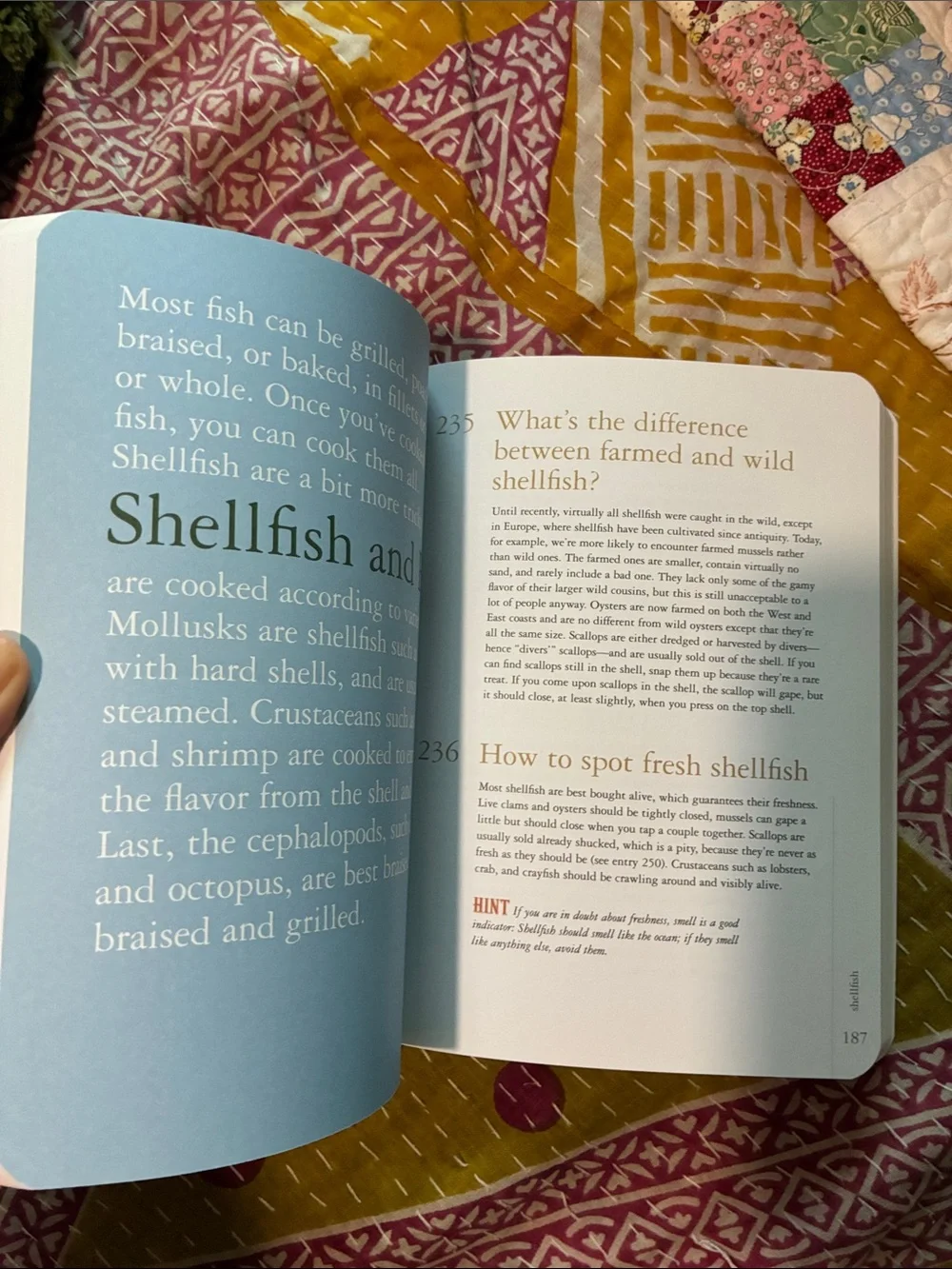 Artisan What’s a Cook To Do? - Cream & Red paperback Cookbook